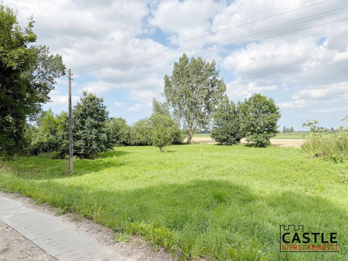 10 km od Stegny I przy wale Tugi I pod stadninę Stobiec - zdjęcie 6