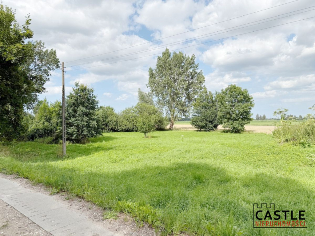 10 km od Stegny I przy wale Tugi I pod stadninę Stobiec - zdjęcie 6