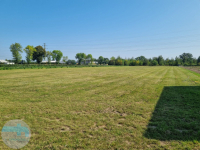 Działka usługowo przemysłowa w Dębe