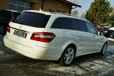 Mercedes E 220 2,2CDI AVANTGARDE, NAVI, Xenon, 170KM, 2011r. Płock - zdjęcie 7