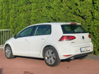 Volkswagen Golf 1.6 TDI Xenon Grzane fotele Navi BT Baranowo - zdjęcie 7