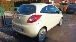 Ford KA 1.2 Ambiente Jeszkowice - zdjęcie 2