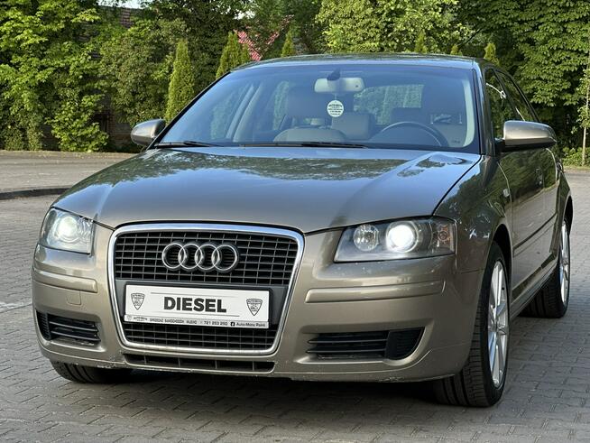 Audi A3 8P 2005r 2.0 TDI BKD 140KM Automat DSG Klimatronic Xenon Wijewo - zdjęcie 1