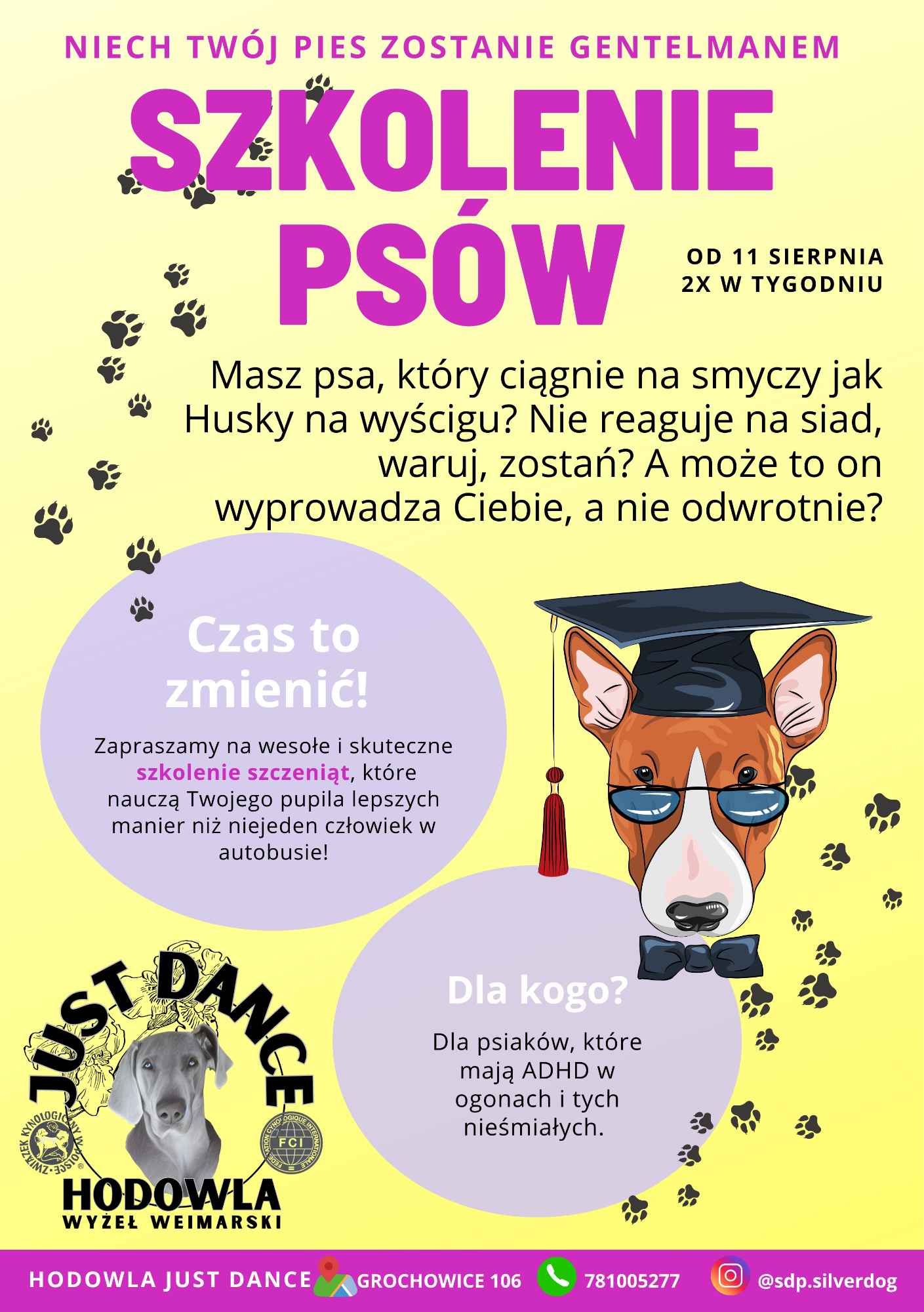 Szkolenie psów Grochowice - zdjęcie 1