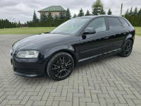 Audi A3 1,4Turbo Benz.LIFT.Automat.Navi.DVD.Parktronic.Tempomat. Kutno - zdjęcie 6