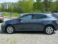 Renault Megane 1,3 Kamera, Nawigacja ,Serwis ,bdb stan Dulowa - zdjęcie 4