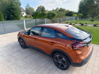 Bardzo ładny Super kolor Góra - zdjęcie 9