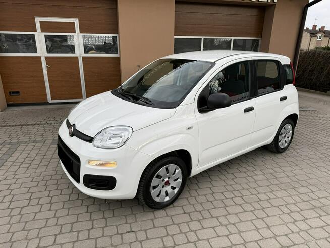 Fiat Panda 1,2 69KM  Klimatyzacja Orzech - zdjęcie 12