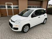 Fiat Panda 1,2 69KM  Klimatyzacja Orzech - zdjęcie 12
