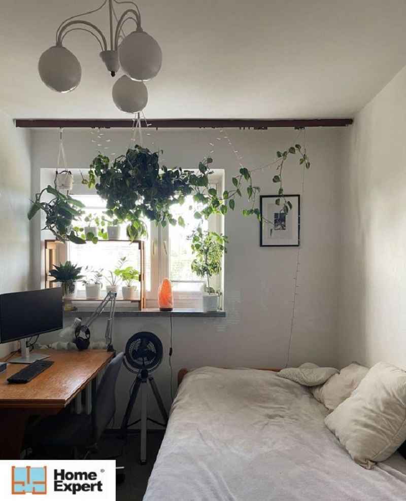 2pok, 47met, okolice Placu Grunwaldzkiego BALKON/WINDA (Wrocław) Śródmieście - zdjęcie 4