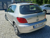Peugeot 307 Krajowy, benzyna 1.6, klimatyzacja Dulowa - zdjęcie 4