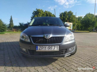 Fabia 2012 rok, 1.6 tdi super wyposażona Pyrzyce - zdjęcie 3