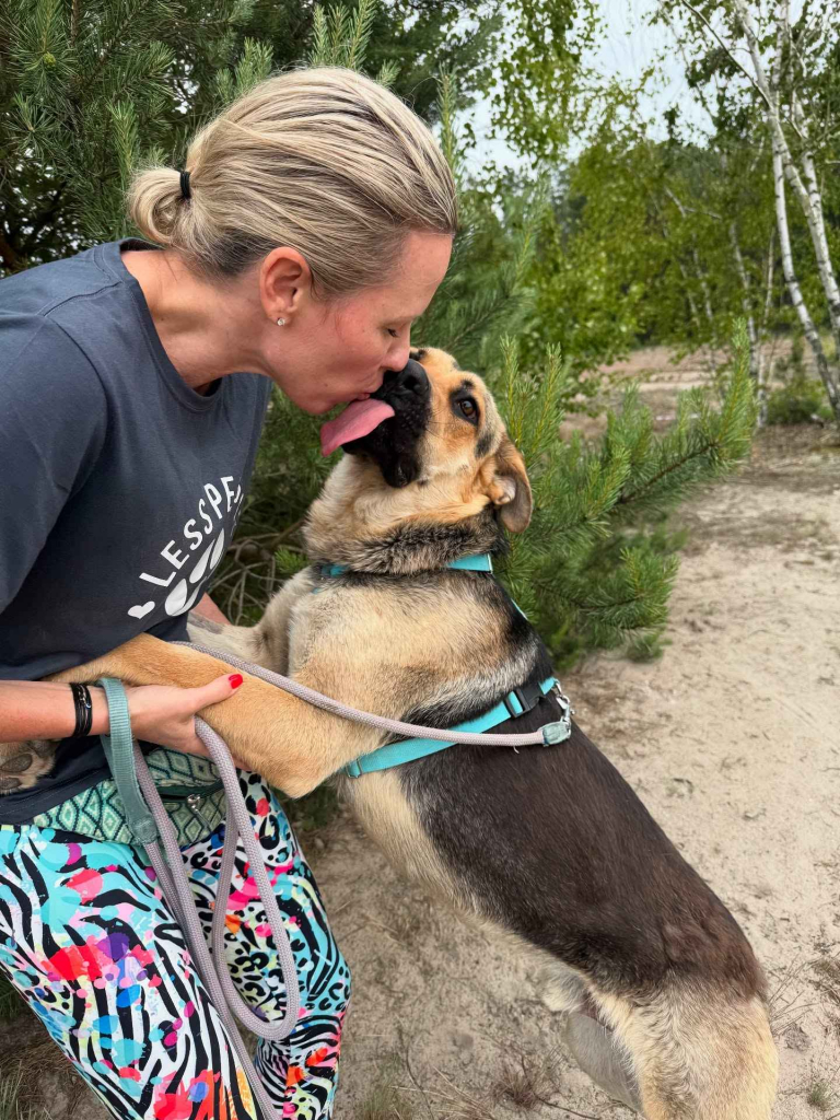 Magnus - młody, niesamowicie wesoły i przyjazny psiak! Olsztyn - zdjęcie 2