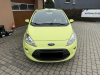 Ford KA 1,2 69KM  Klimatronik  Panorama Orzech - zdjęcie 2