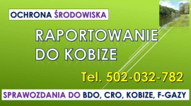 Raport do Kobize, t.502-032-782, raportowanie, wykonanie raportu, cena Psie Pole - zdjęcie 7