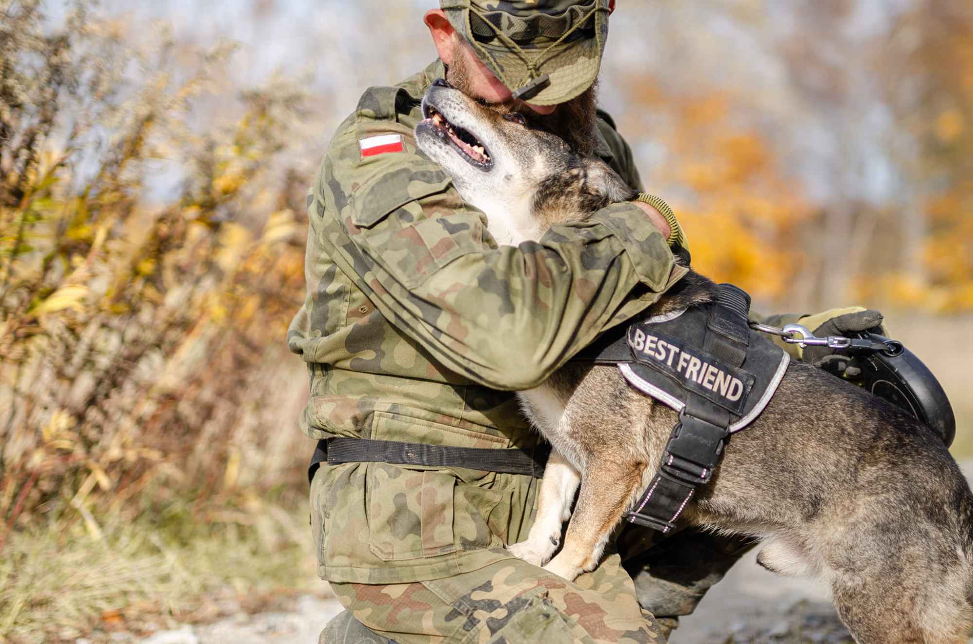 Kaziu - wspaniały, niekonfliktowy psiak do pokochania! Olsztyn - zdjęcie 2