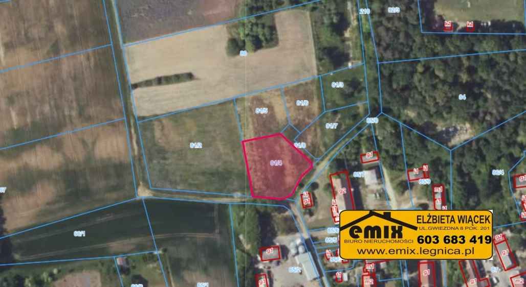 4 działki budowlane z wydanymi warunkami zabudowy, Wysocko k. Złotoryi Złotoryja - zdjęcie 3