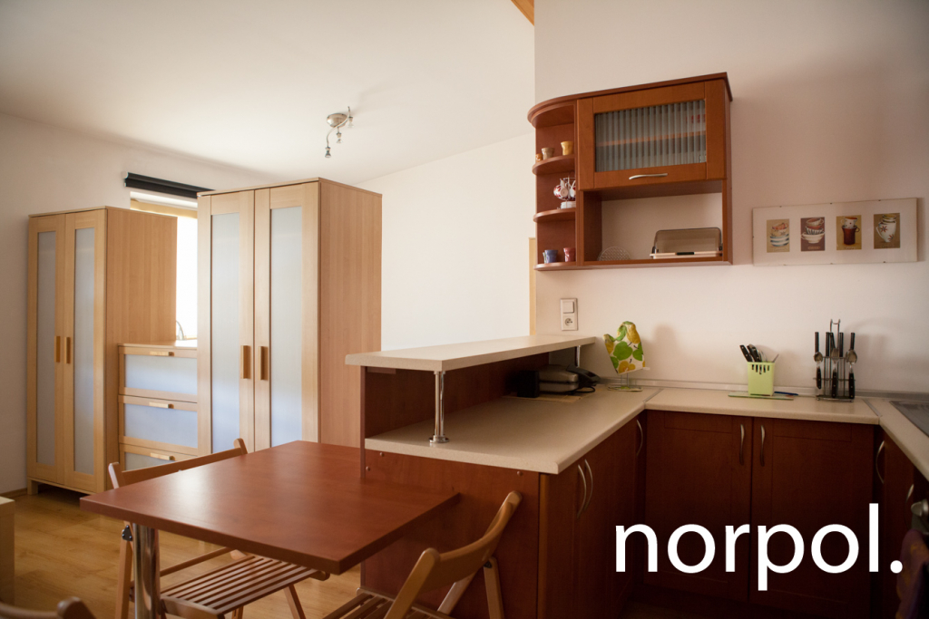 Krowoderska, studio, winda, odnowiona kamienica Kraków - zdjęcie 8