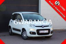 Fiat Panda Klimatyzacja /Gwarancja /I właść /1,2 /70KM /2017r