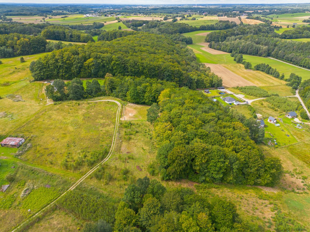 Malownicza okolica i prywatny las. Blisko jezioro Trzepowo - zdjęcie 2