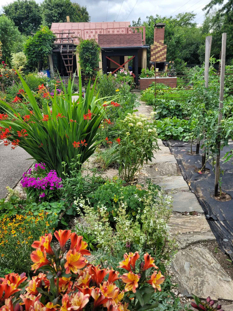 DZIAŁKA REKREACYJNA Fabryczna - zdjęcie 9