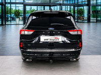 Ford Kuga Sadlno - zdjęcie 7