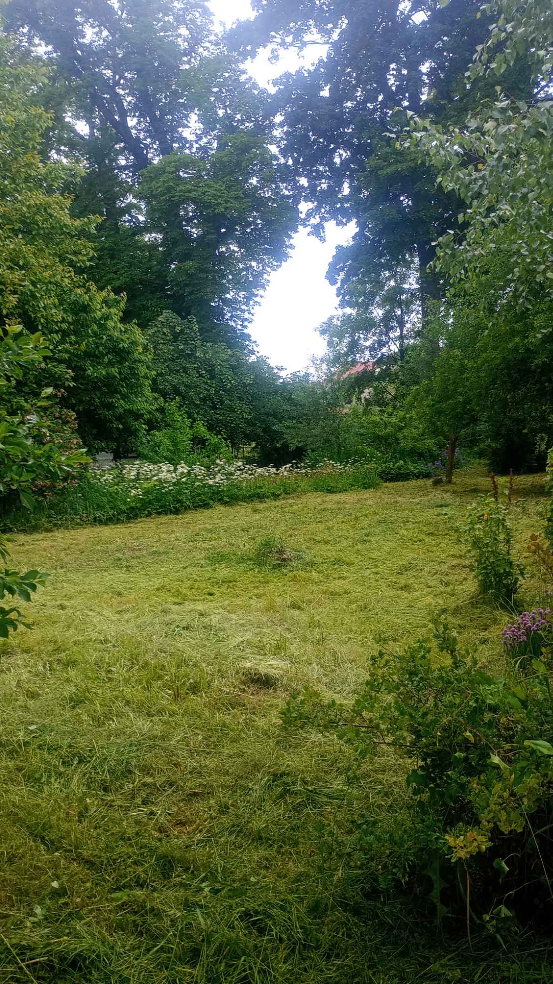 Działka 800m2 Darskowo - zdjęcie 5