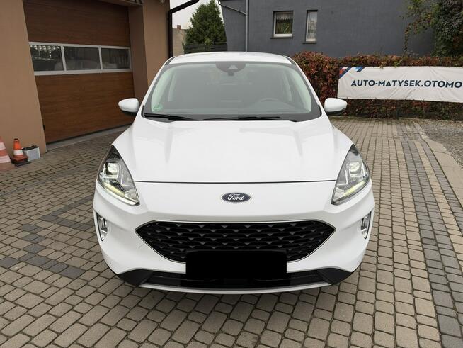 Ford Kuga 1,5 EcoBoost 120KM Orzech - zdjęcie 2