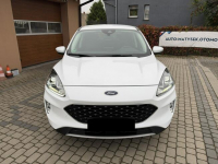 Ford Kuga 1,5 EcoBoost 120KM Orzech - zdjęcie 2