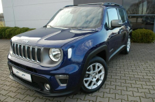 Jeep Renegade Nawigacja Dębica - zdjęcie 11