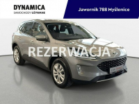 Ford Kuga VAT 23% 1.5 150KM M6 2024 r., przebieg tylko 31tys.km, NAVI.