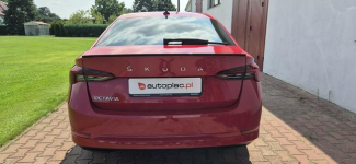 Škoda Octavia SALON PL-STYLE-VIRTUAL-SERWIS Paproć - zdjęcie 7