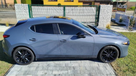 Carbon Version 2,5 benzyna automat 4x4 Turek - zdjęcie 6