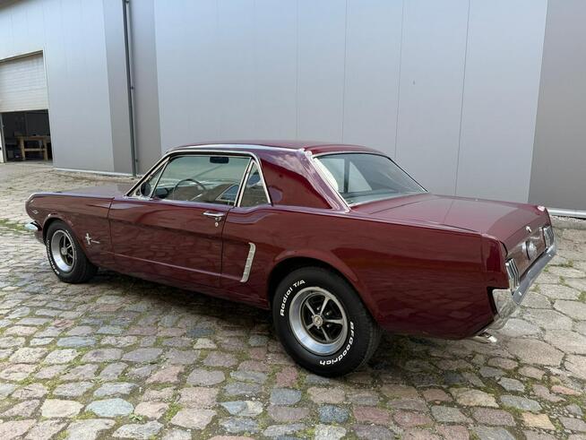 1965 Ford Mustang 289 v8 Automat Sprowadzony LUXURYCLASSIC Koszalin - zdjęcie 4