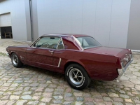 1965 Ford Mustang 289 v8 Automat Sprowadzony LUXURYCLASSIC Koszalin - zdjęcie 4