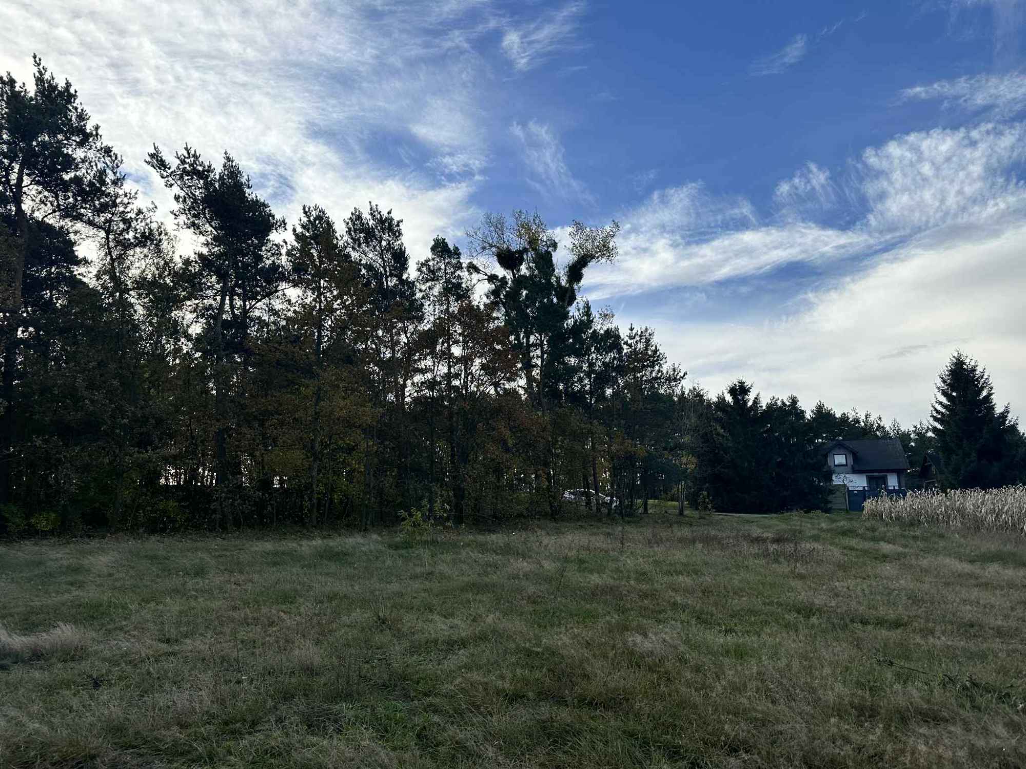 Działka budowlana na sprzedaż 4800 m 2, Gmina Brójce, Pałczew Pałczew - zdjęcie 6