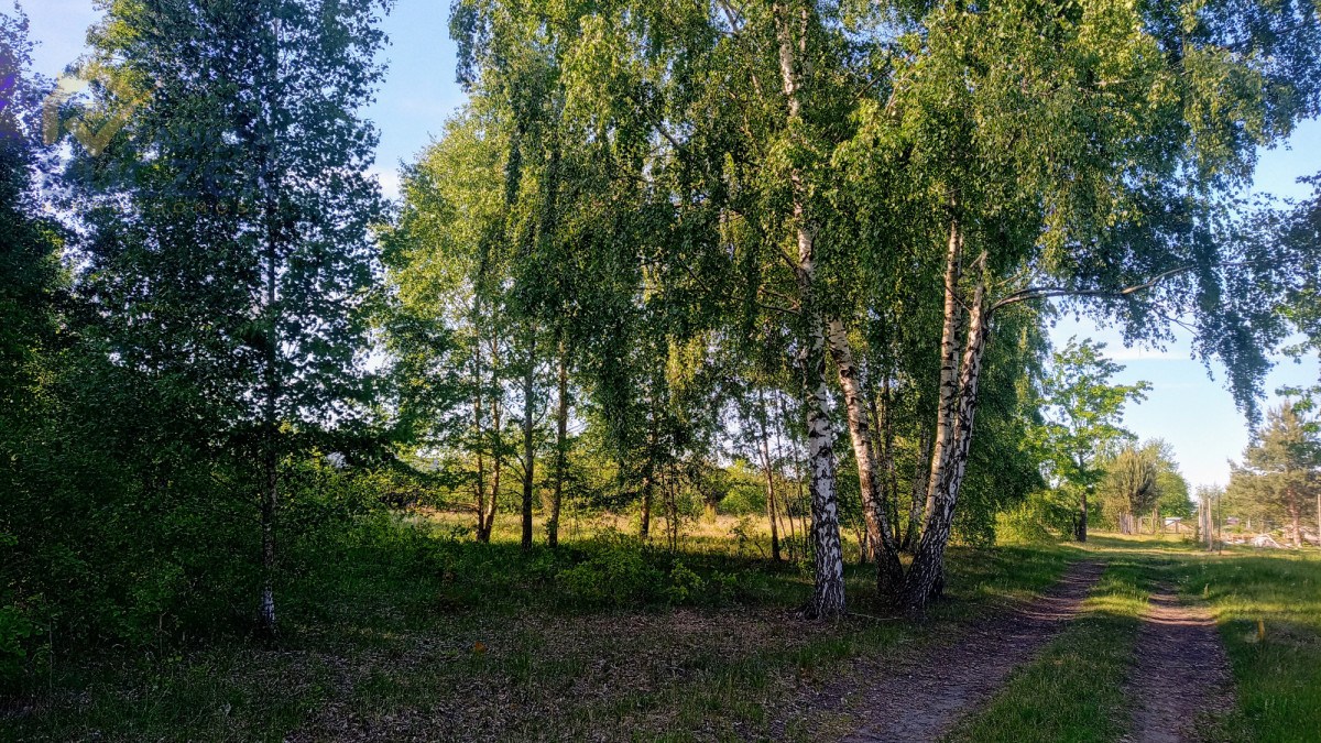 Sprzedam działki budowlane w Adamowej Górze Adamowa Góra - zdjęcie 2