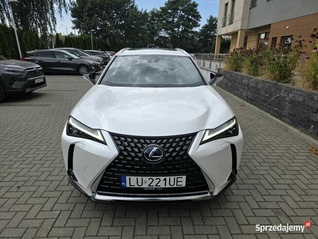Lexus UX 250H Omotenashi /Mark Levinson Lublin - zdjęcie 2
