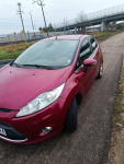 Ford Fiesta Psie Pole - zdjęcie 8