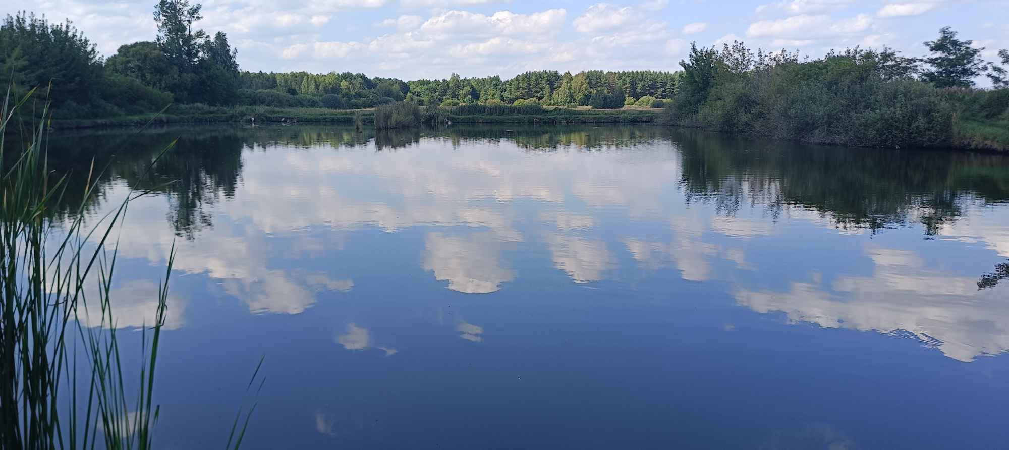 Posesja rekreacyjna stawy rybne Okuninka - zdjęcie 4