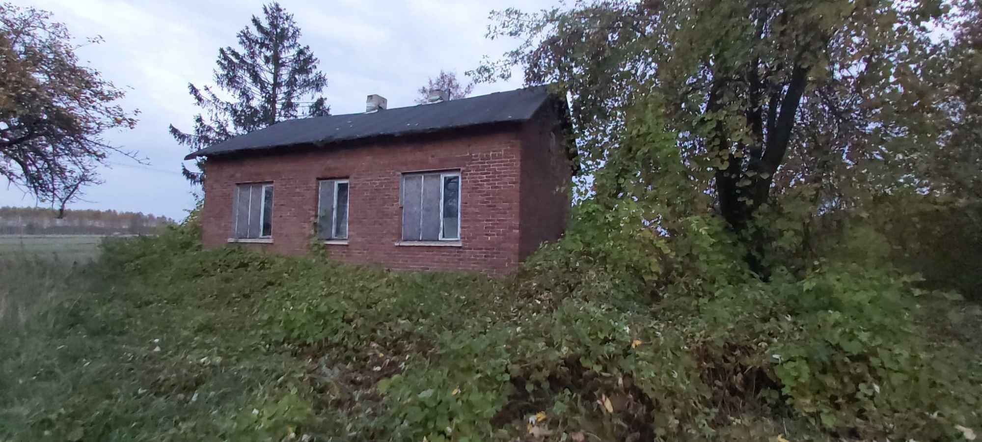 Gospodarstwo rolne Przymiłów - zdjęcie 5