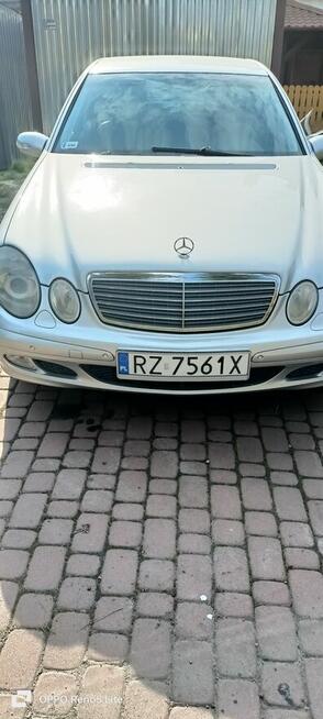 Mercedes eklasa w211 Rzeszów - zdjęcie 3