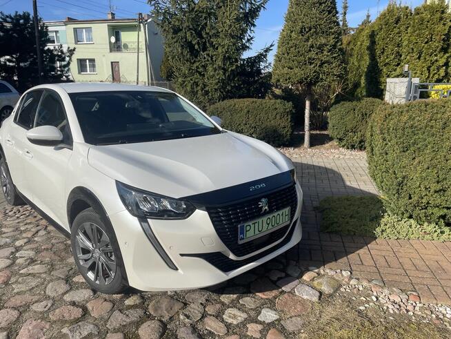 Sprzedam Turek - zdjęcie 2