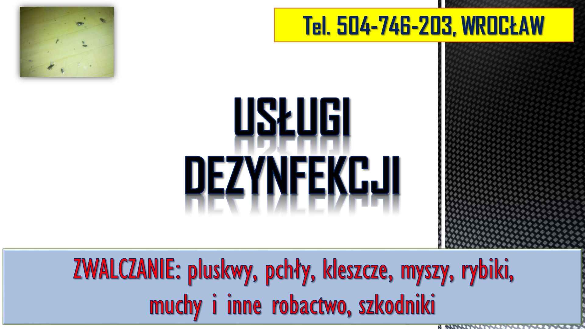 Rybiki zwalczanie, tel 504-746-203, dezynfekcja rybików, Wrocław. cena Psie Pole - zdjęcie 4