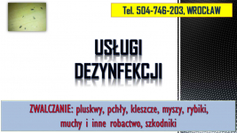 Rybiki zwalczanie, tel 504-746-203, dezynfekcja rybików, Wrocław. cena Psie Pole - zdjęcie 4