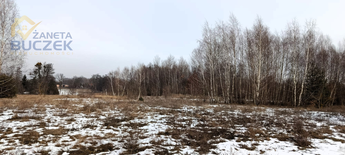 Sprzedam działki budowlane w Nowych Mostkach Nowe Mostki - zdjęcie 2