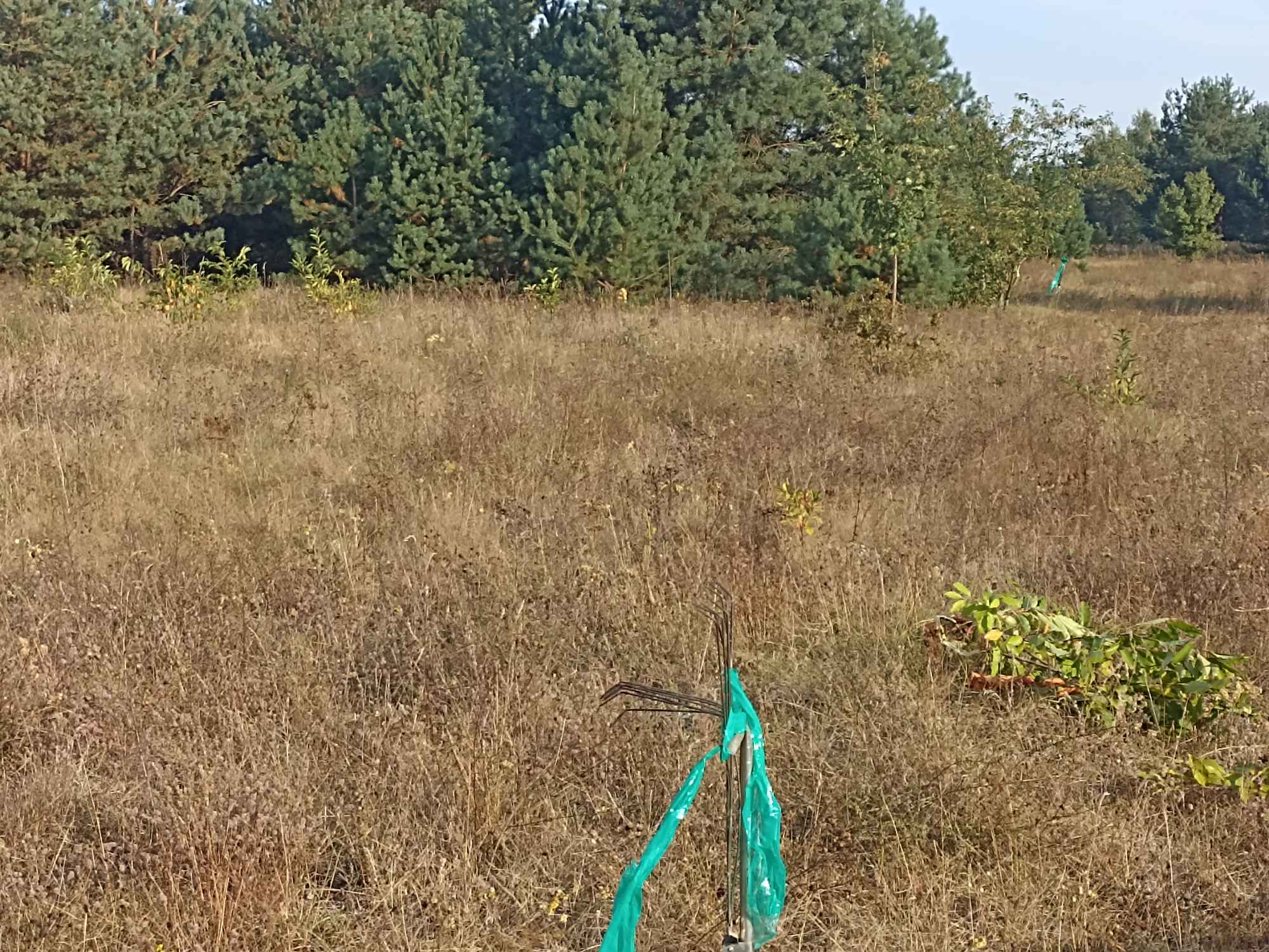 Sprzedam działkę inwestycyjną z warunkami zabudowy 5367 mkw Mława - zdjęcie 9