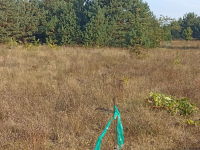 Sprzedam działkę inwestycyjną z warunkami zabudowy 5367 mkw Mława - zdjęcie 9
