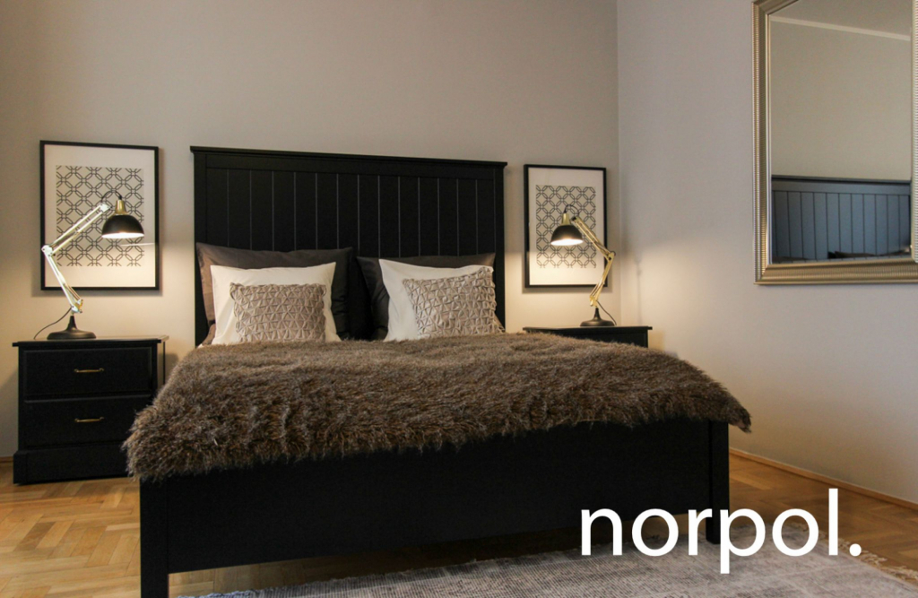 Mieszkanie w Starym Mieście, ul. Sławkowska Kraków - zdjęcie 5