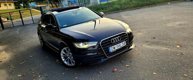 Audi A6 Psie Pole - zdjęcie 1